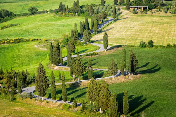 The winding road, lined with cypress trees through the green fields of the Valdorcia zigzagging towards Monticchiello in Tuscany. It is one of the most famous roads of Italy.